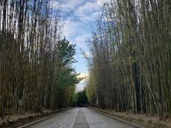 -蝴蝶泉公园