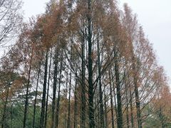 -金山公园