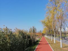 -永定河休闲森林公园