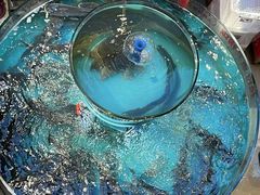 -魏铭鱼头捞饭(晋阳路店)