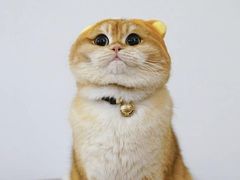 -百信宠物医院(东升街店)