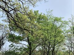 -WeLope紫金山探险公园