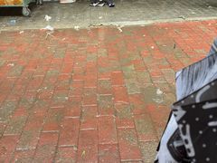 -杨家牛肉汤(淮建路店)