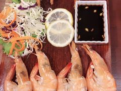 -茉莉.Red Crab
