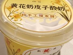 -凯鸽酒楼(操场城店)