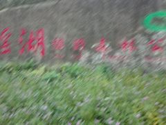 -瑶湖郊野森林公园