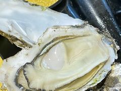 桑拿蠔-天宝食坊·啫啫煲大排档(西华路店)