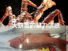 -新丁香海鲜酒店(银海商贸城店)