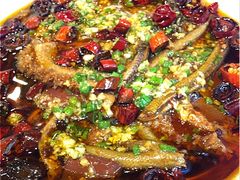 毛血旺-厦门悦华酒店