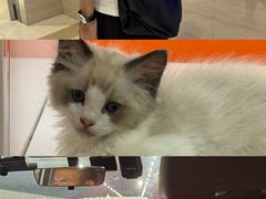 -宝龙城(杭州滨江店)