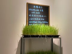 -朵朵开素食餐厅(后宰门街店)