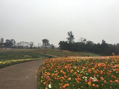 -保利石象湖景区