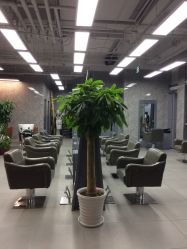 -INS羽毛接发·巴黎画染