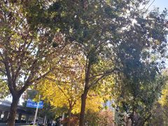 -1号足道推拿会馆