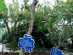 -祥源·阜阳生态乐园