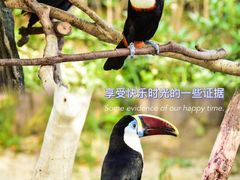 -上海野生动物园