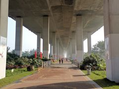 -中澳友谊花园