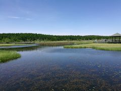 -塞罕坝国家级自然保护区