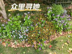-黄兴公园