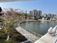 -九里河湿地公园