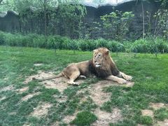 -北京野生动物园