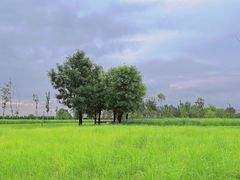 -汉长安城未央宫国家考古遗址公园