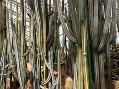 -南通洲际绿博园