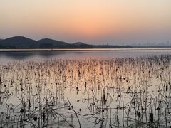 -东湖落雁景区