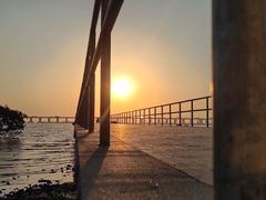 -宝安西湾红树林湿地公园