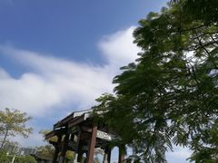 -惠州西湖丰渚园