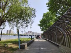 -长白岛森林公园