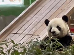 -临沂动植物园