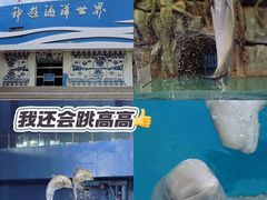 -威海华夏城景区