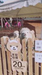 -萌宠亲子动物乐园(槐房万达店)