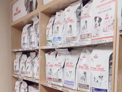 -中农大我爱我爱24h动物医院·中医针灸·猫专科·骨科医疗中心(双井店)