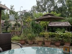 -丫口花园餐厅·融合菜