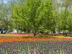 -长春公园(普阳街道)