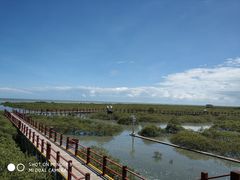-北海金海湾红树林生态旅游区