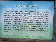 -紫金山山顶公园