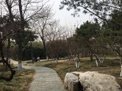 -丰台花园