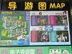 -广州长隆飞鸟乐园