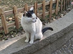 -西园戒幢律寺