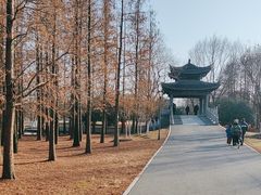 -梁鸿国家湿地公园