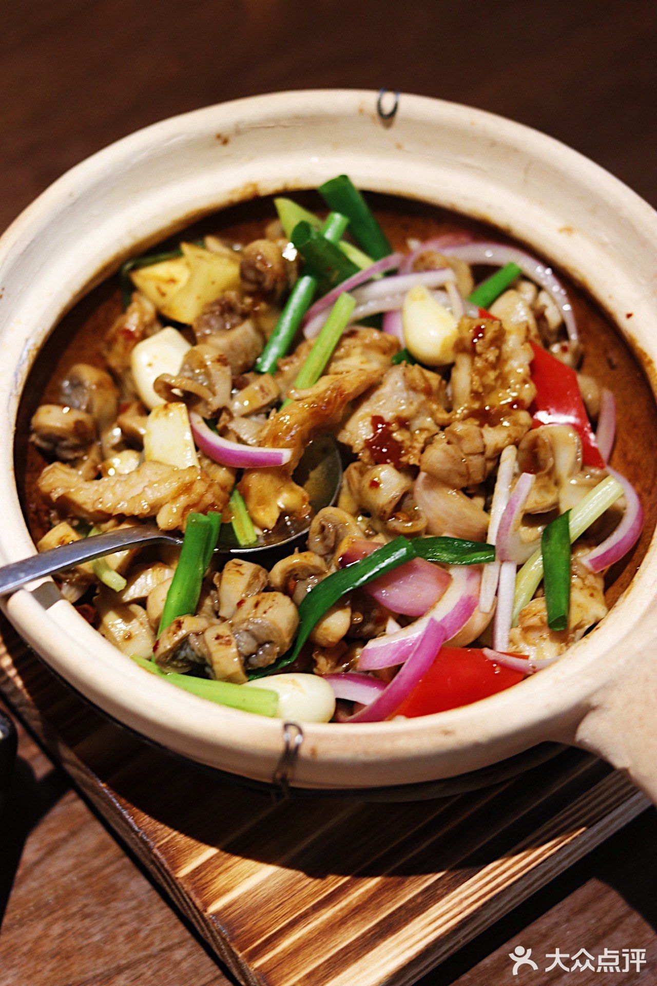 超好吃的广东啫啫煲在这里❗️生蚝4.9/个‼️