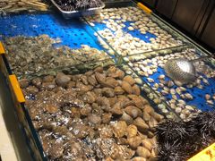 -小渔船渔家传统菜(鲅鱼圈店)