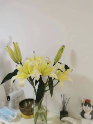 -美肤盾祛痘·问题肌头疗管理中心