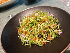 -老房子金沙元年川菜食府·花园餐厅(金沙店)