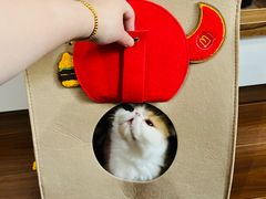 -麦当劳(光新乐购店)