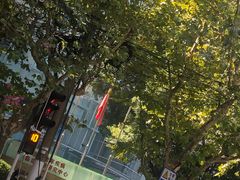 -复旦大学附属华山医院(总院)