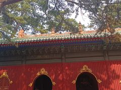 -磬锤峰森林公园